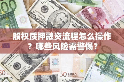 武汉股权质押融资流程怎么操作？哪些风险需警惕？