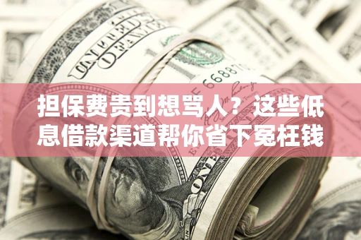 武汉担保费贵到想骂人？这些低息借款渠道帮你省下冤枉钱