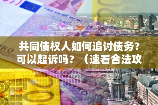 武汉共同债权人如何追讨债务？可以起诉吗？（速看合法攻略）