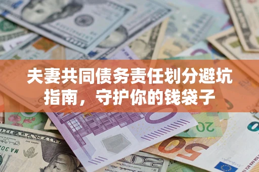 武汉夫妻共同债务责任划分避坑指南，守护你的钱袋子