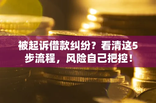武汉被起诉借款纠纷？看清这5步流程，风险自己把控！